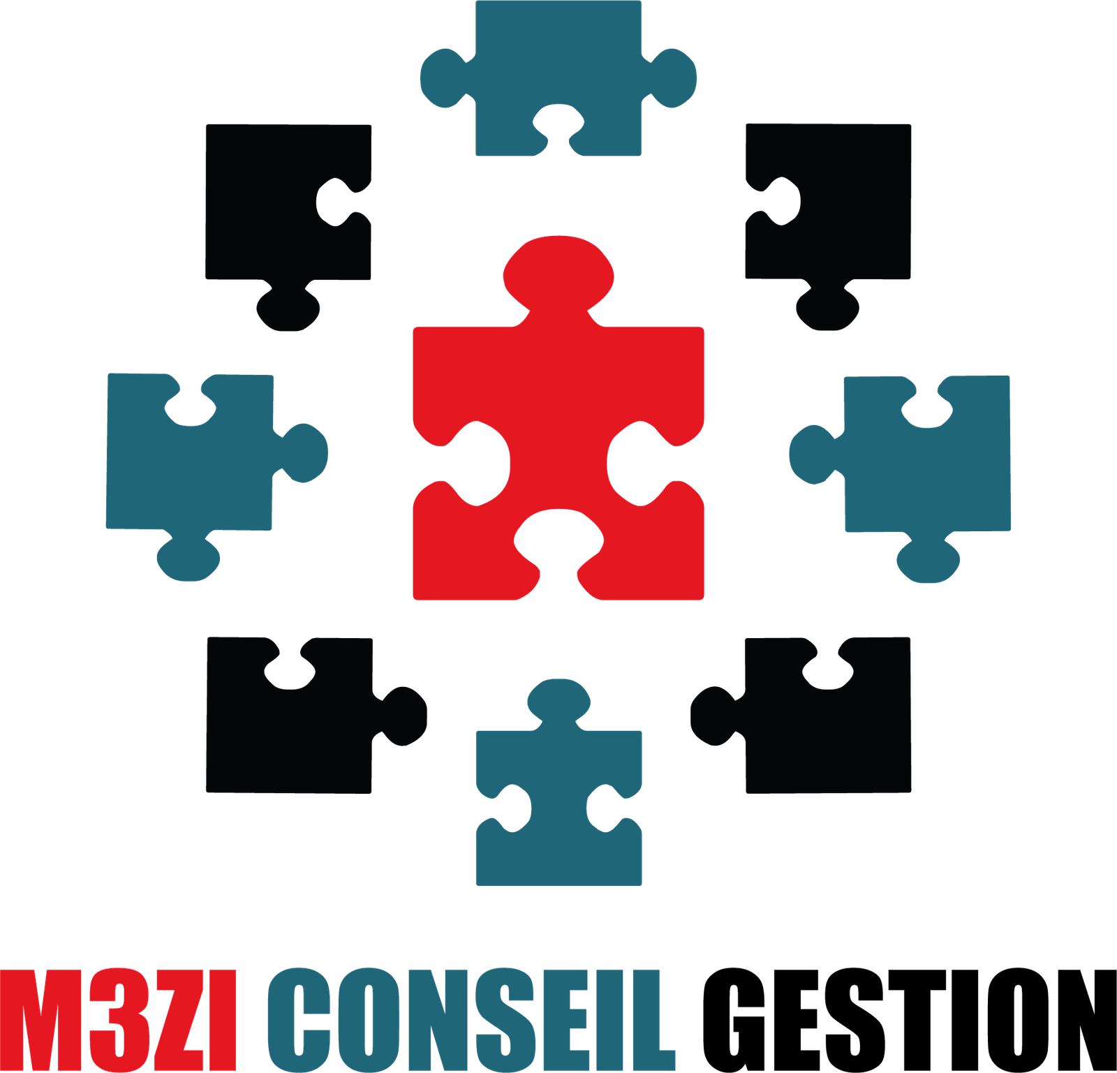 M3ZI Conseil Gestion